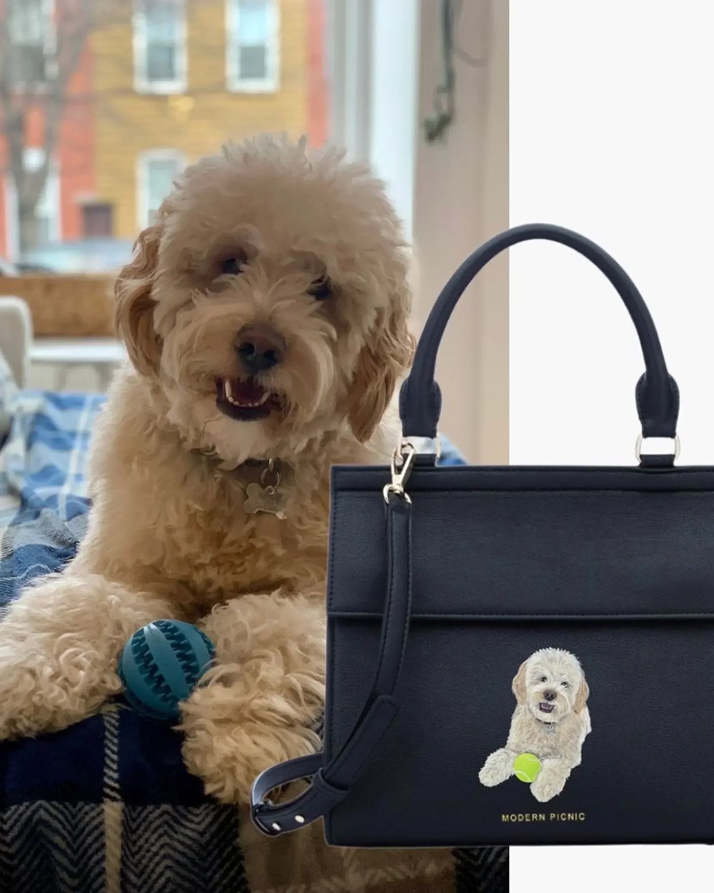 Fluffy dog with blue toy beside black vegan leather tote featuring dog print, perfect for stylish everyday use.