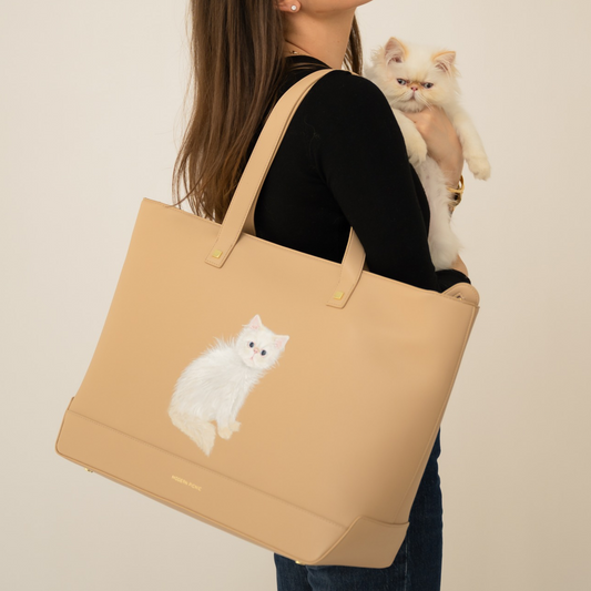 Revisiting Our Pet Portraits: A Little Piece of Home, Packed to Go
