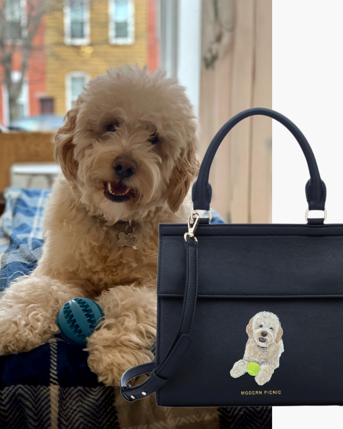 THE PET PORTRAIT LUNCHER - BLACK