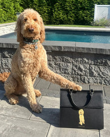 Goldendoodle dog by pool with paw on black insulated lunch bag featuring dog illustration