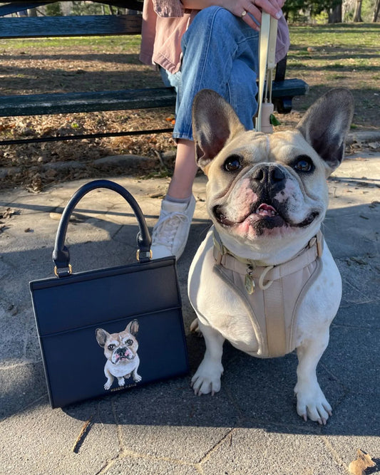French bulldog with a navy vegan leather insulated lunch bag featuring a dog illustration, outdoors