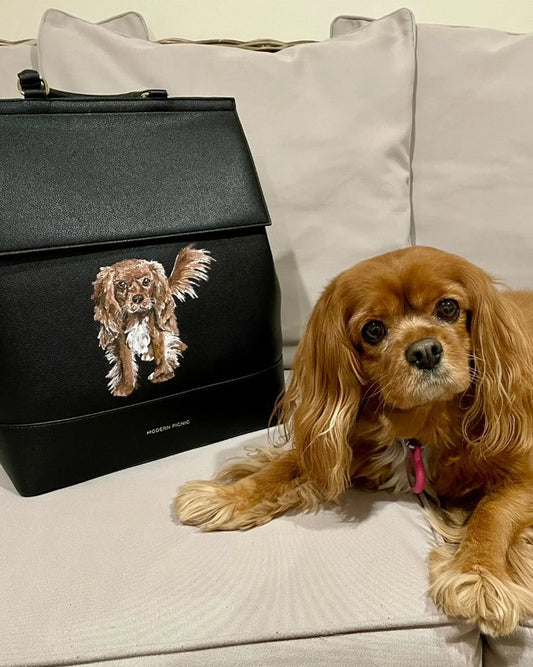 Brown spaniel dog lying near a black insulated lunch bag featuring a dog illustration on a couch.