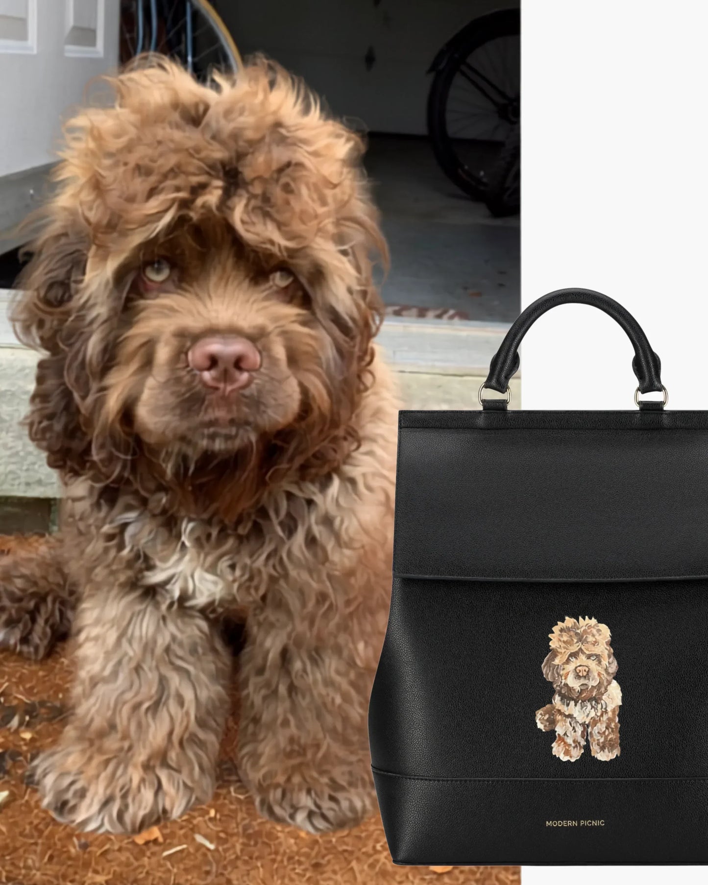 THE PET PORTRAIT BACKPACK - BLACK