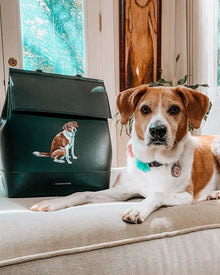 Brown and white dog next to a black vegan leather lunch bag with a dog illustration, indoors.