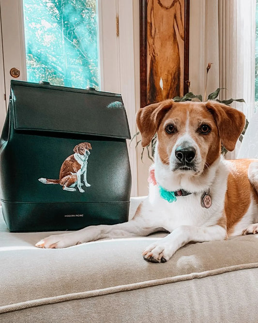 Brown and white dog next to a black vegan leather lunch bag with a dog illustration, indoors.
