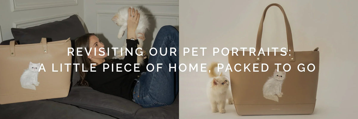 Revisiting Our Pet Portraits: A Little Piece of Home, Packed to Go