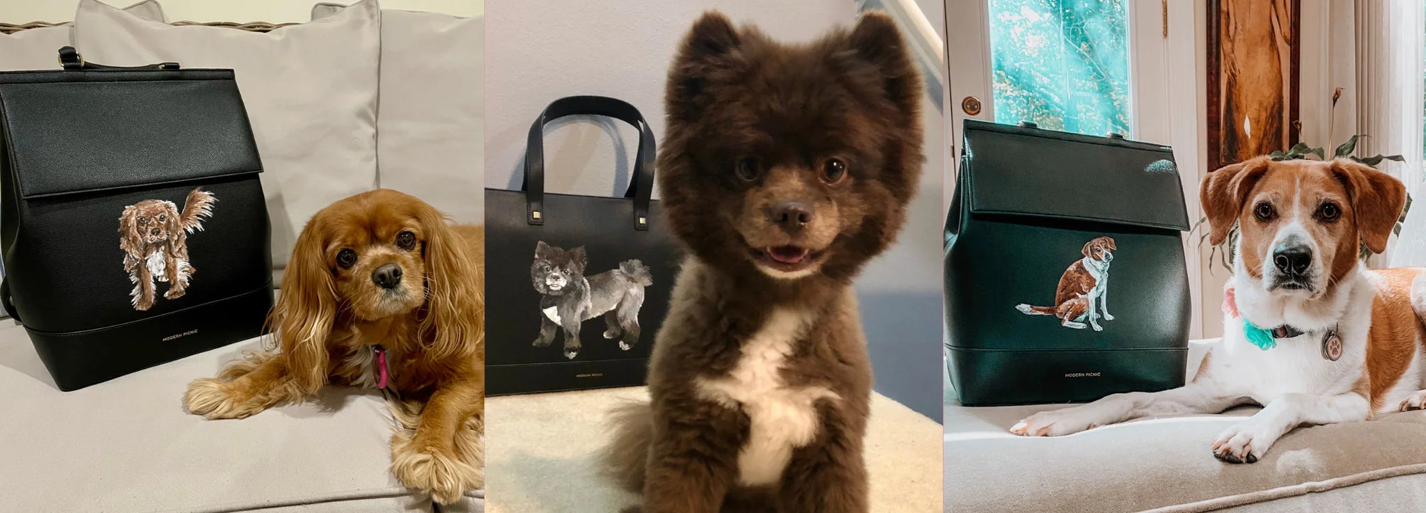 A Gift for the Pet Obsessed