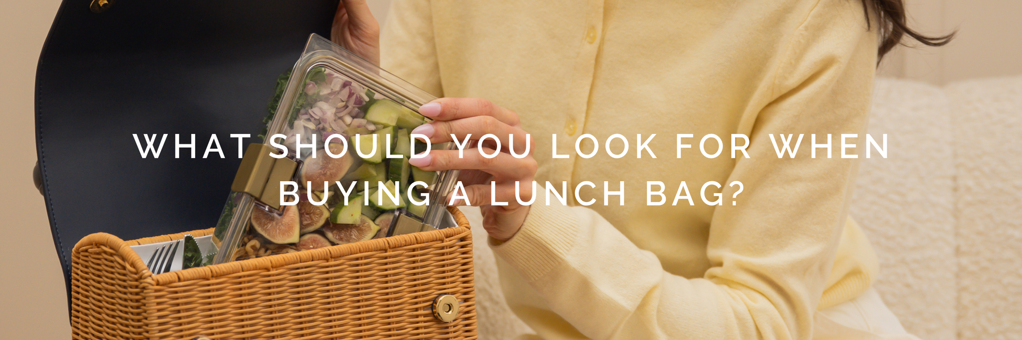 What Should You Look for When Buying a Lunch Box?