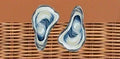 THE LUNCHER - BROWN OYSTER
