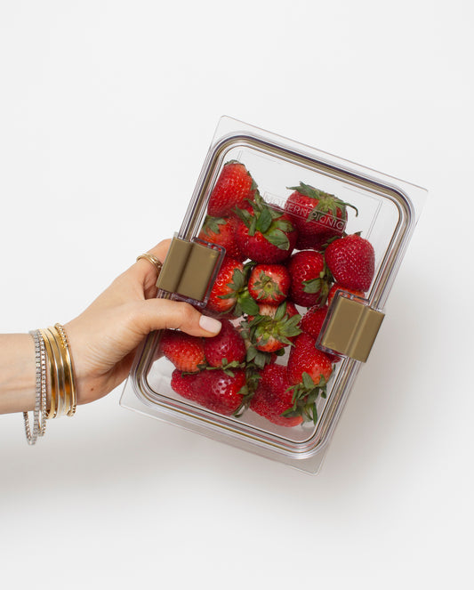 THE FOOD CONTAINER