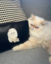 Cat lying next to a black pouch with a cat design on a gray surface