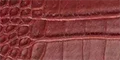 THE LARGE LUNCHER - RED CROC