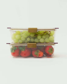 Two stackable reusable food containers filled with grapes and tomatoes