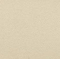 THE TOTE - WHITE CANVAS