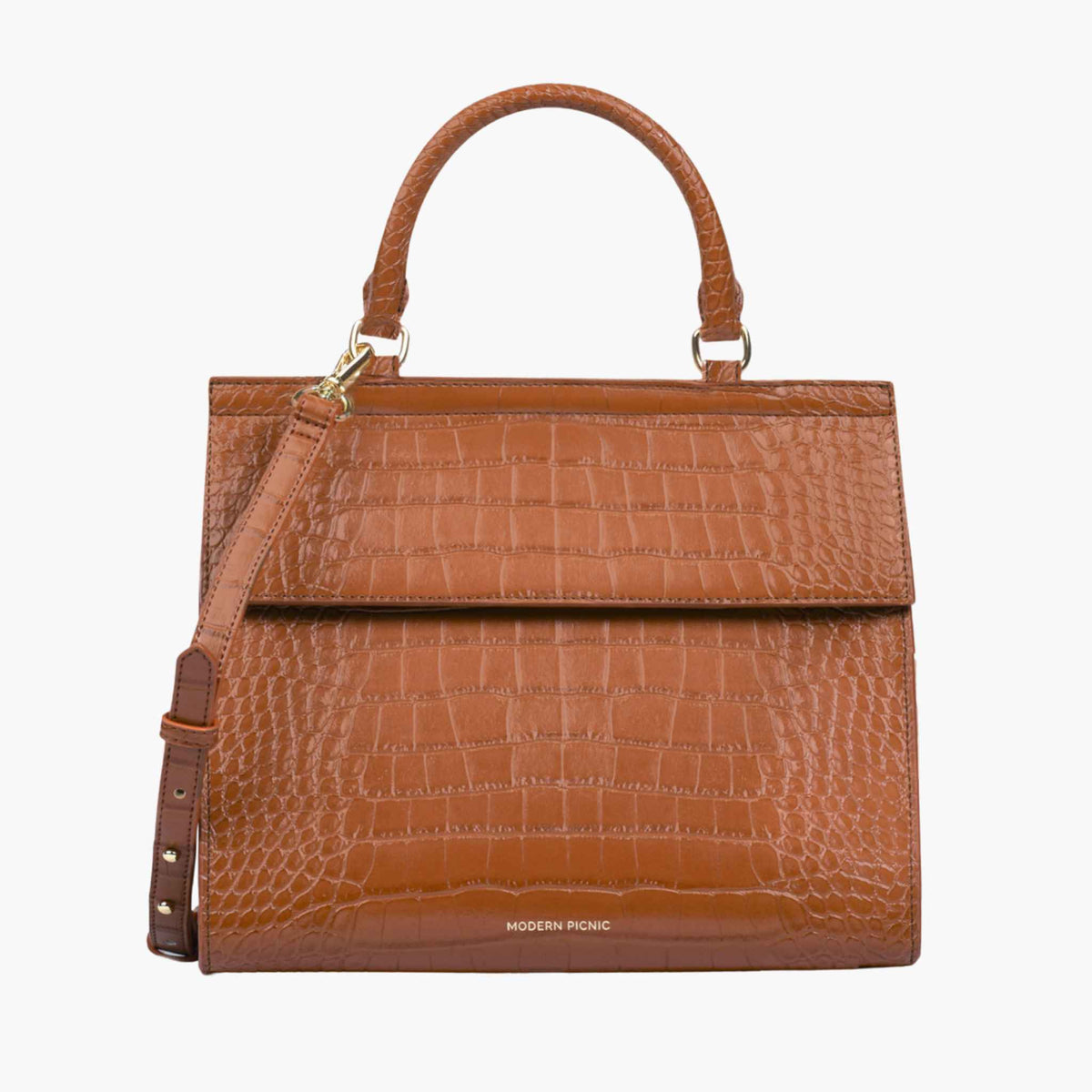 color:Saddle Croc