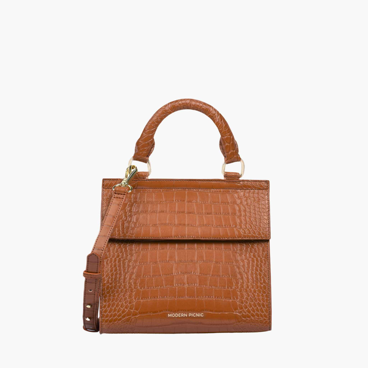 color:Saddle Croc